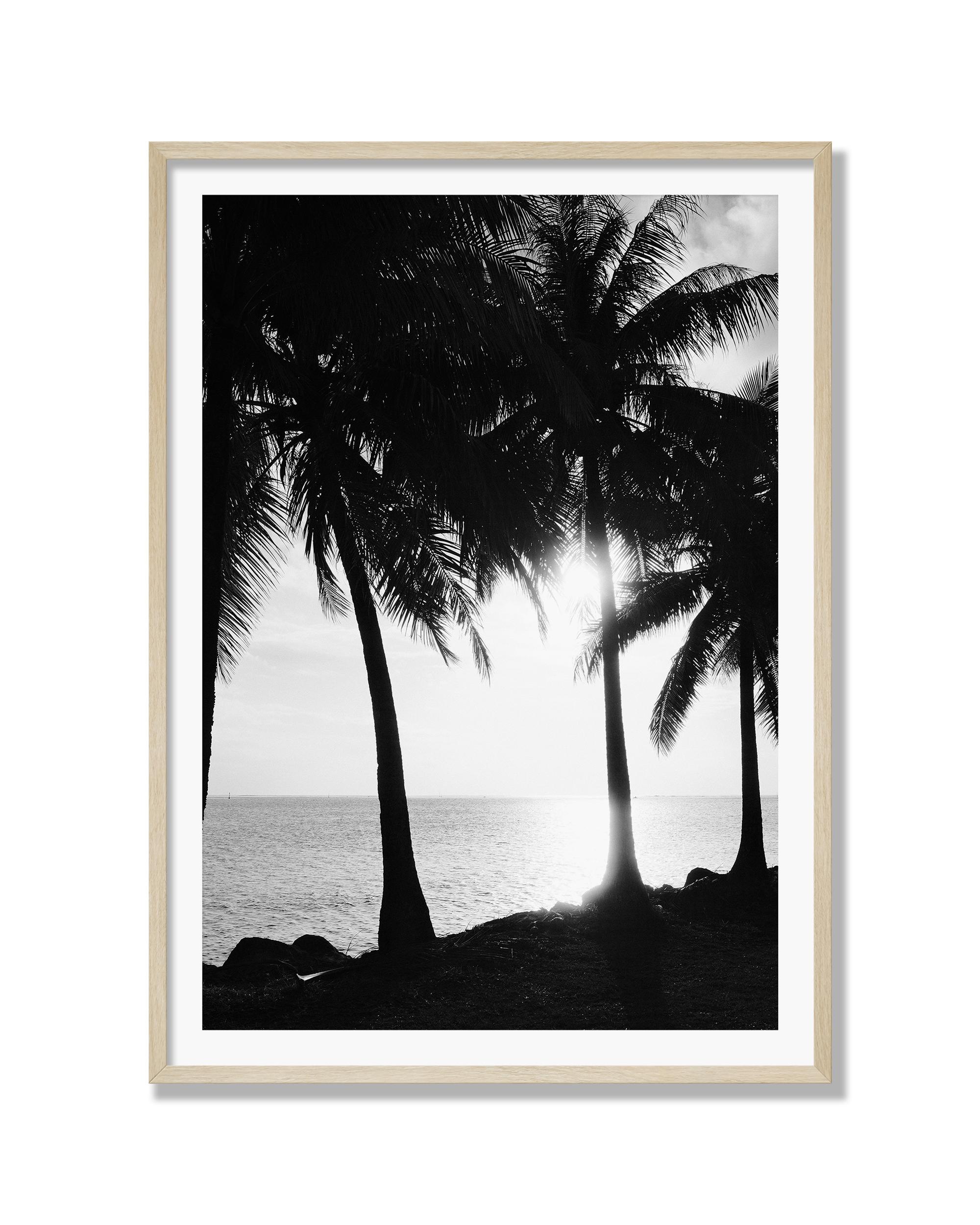 Coastal Silhouettes