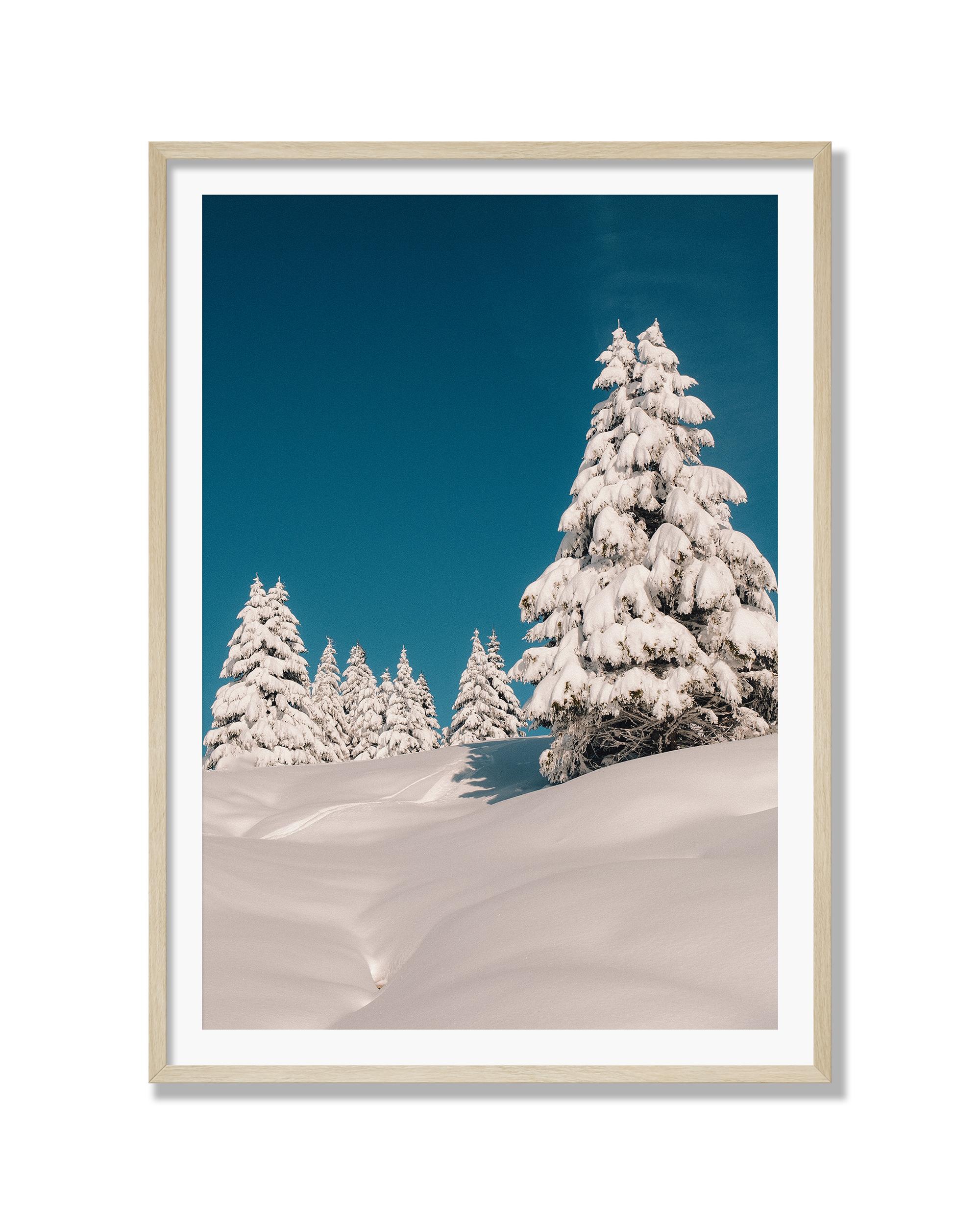 Alpine Tranquillity