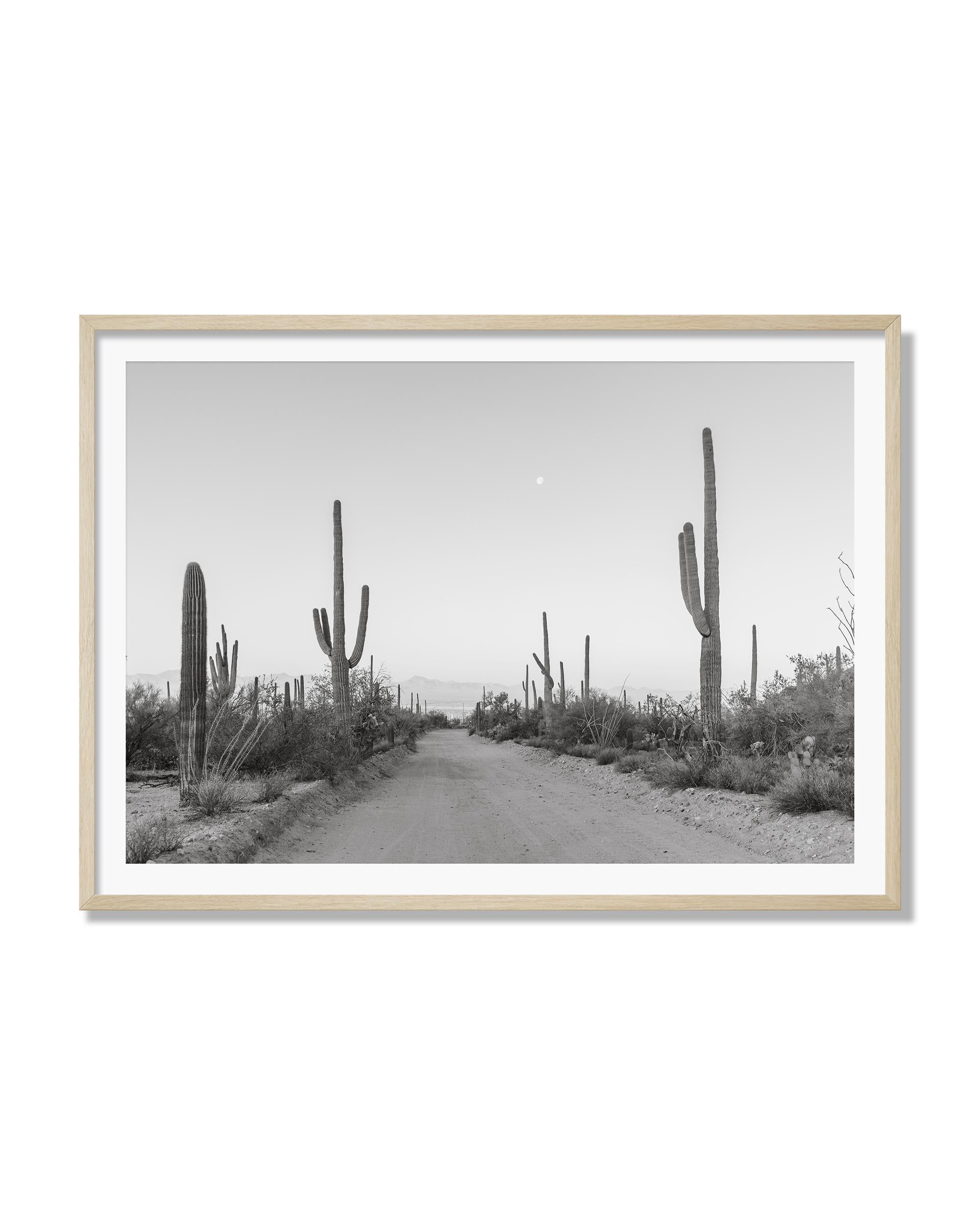 Moonlit