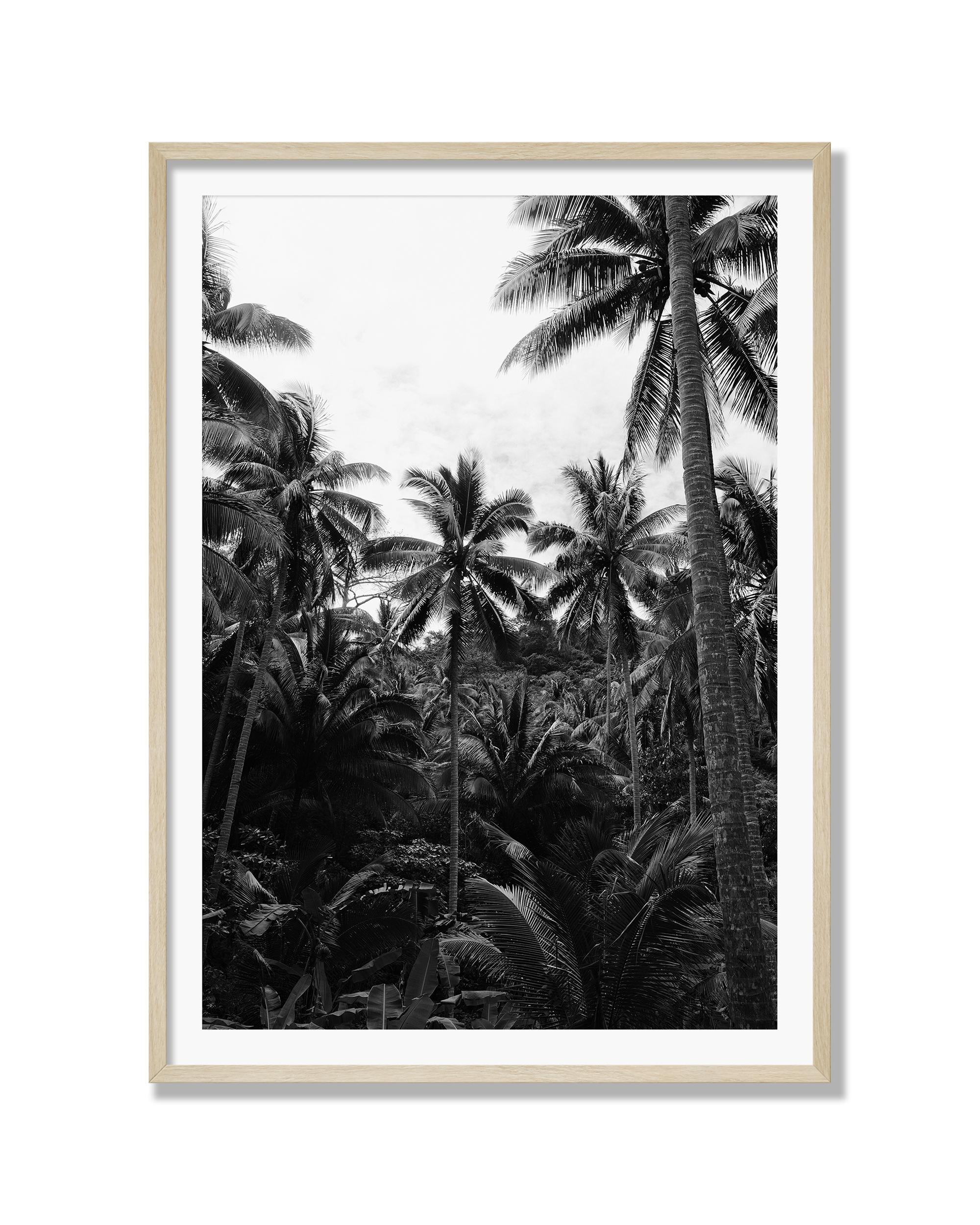 Deep Canopy